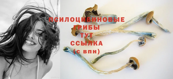 марки nbome Белокуриха