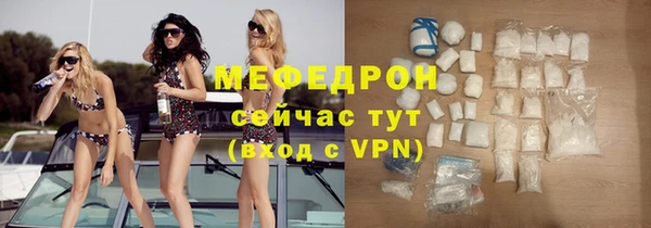 сатива Ростов