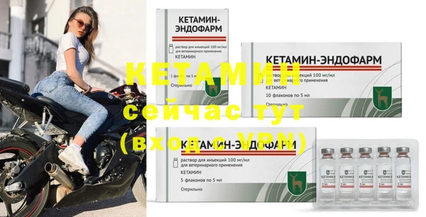 сатива Ростов