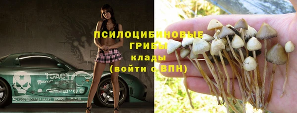 ПСИЛОЦИБИНОВЫЕ ГРИБЫ Сафоново